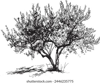 Realistic ballpoint pen drawing vintage drawing spring tree, drawing texture, blue ballpoint pen color, isolated on white paper,