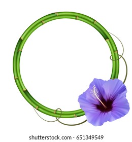Realistic bamboo frame with hibiscus flower.