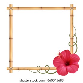Realistic bamboo frame with hibiscus flower.