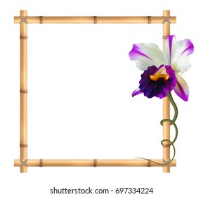 Realistic bamboo frame with orchid flower.