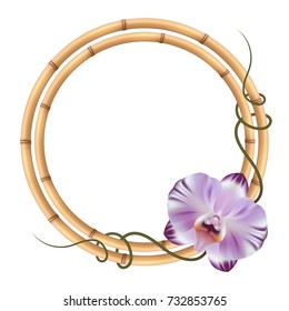 Realistic bamboo frame with orchid flower.