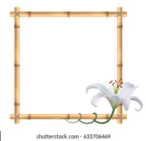 Realistic bamboo frame with white lily flower.