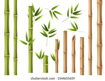 Realistic bamboo. Green and brown bamboo stems with leaves, asian forest 3d vector isolated china and japan decoration abstract chinese elements