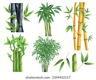 Realistic bamboo icon set six kinds of different bamboos with and without leaves and in different colors vector illustration