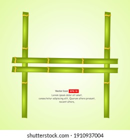 Realistic bamboo  isolated on white background. Realistic frames for photos or text. Modern realistic frame