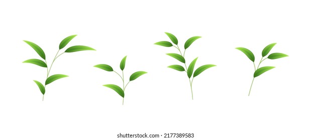 Realistic bamboo leaves isolated on white background. Green bamboo foliage for floral design or botanical mockup template. 3d vector illustration