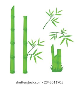 realistic bamboo plant vector design