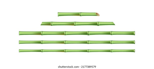 Realistic bamboo sticks isolated on white background. Green bamboo wooden stem for floral design or botanical mockup template. 3d vector illustration