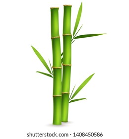 Realistic bamboo sticks with leaves and shadow