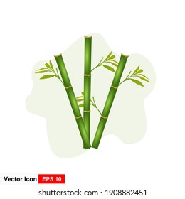 Realistic bamboo sticks with leaves and shadow