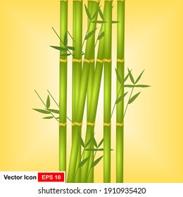 Realistic bamboo sticks with leaves and shadow