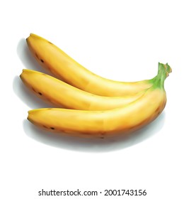 Realistic banana fruit vector illustration