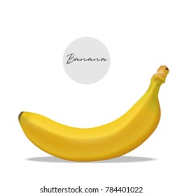 Realistic banana isolated fruit vector 