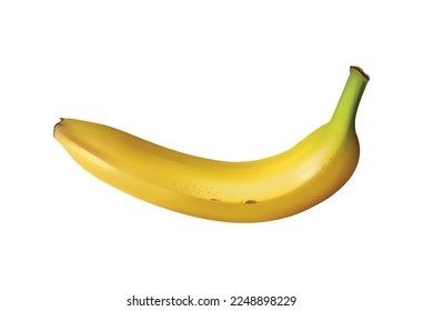 Realistic banana juice splash composition with isolated tropical fruit image on blank background vector illustration
