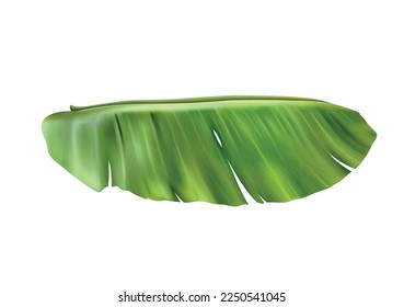 Realistic banana juice splash composition with isolated tropical fruit image on blank background vector illustration