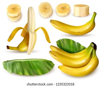 Realistic banana set with various isolated images of fresh banana fruit with skin leaves and slices vector illustration