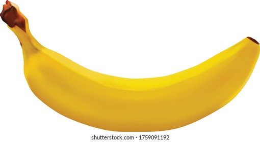 realistic banana vector mesh with white bacground