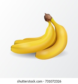 Realistic banana. Vector stock.