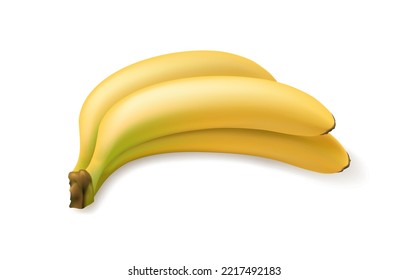 Realistic bananas bunch. Banana fruit dessert isolated vector illustration, fresh bananas snacks crop on white, healthy yellow 3d closeup ripe fruits food