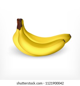 Realistic bananas. Vector icon. EPS10