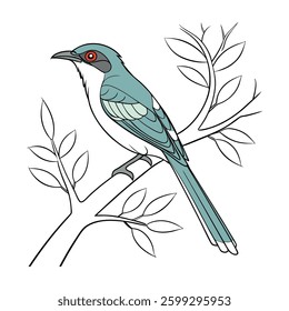 Realistic Bar Bellied Cuckooshrike Illustration. Concept of Bird Design.