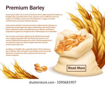 Realistic barley, ears and grains isolated on white background. Premium barley vector web background template. Illustration of wheat crop, harvest agriculture