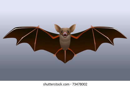 Realistic bat. Vector illustration.