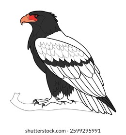 Realistic Bateleur Illustration. Concept of Bird Design.