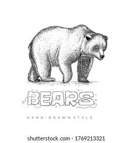 Realistic bear vector with abstract hand drawn style, black and white animal illustration