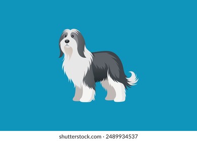 Realistic bearded Collie Dog vector artwork capturing detailed features and expressive charm of this adorable breed.