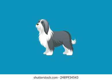 Realistic bearded Collie Dog vector artwork capturing detailed features and expressive charm of this adorable breed.