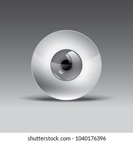 Realistic Beautiful Grey Eyeball. Vector Human Anatomy Illustration