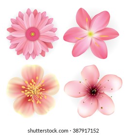 Realistic Beautiful Pink Flowers Illustration Set