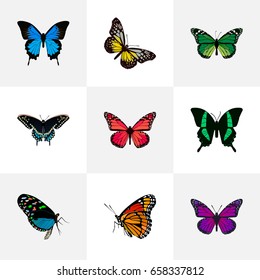 Realistic Beauty Fly, Birdwing, Morpho Hecuba And Other Vector Elements. Set Of Beauty Realistic Symbols Also Includes Monarch, Brown, Cypris Objects.