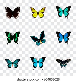 Realistic Beauty Fly, Demophoon, Archippus And Other Vector Elements. Set Of Beautiful Realistic Symbols Also Includes Moth, Cypris, Butterfly Objects.