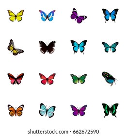 Realistic Beauty Fly, Pipevine, Birdwing And Other Vector Elements. Set Of Moth Realistic Symbols Also Includes Bluewing, Green, Malachite Objects.