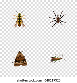 Realistic Bee, Arachnid, Butterfly And Other Vector Elements. Set Of Insect Realistic Symbols Also Includes Spider, Arachnid, Butterfly Objects.