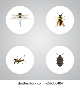 Realistic Bee, Damselfly, Locust And Other Vector Elements. Set Of Insect Realistic Symbols Also Includes Beetle, Damselfly, Sting Objects.