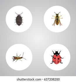 Realistic Bee, Dor, Locust And Other Vector Elements. Set Of Animal Realistic Symbols Also Includes Dor, Wisp, Insect Objects.