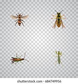 Realistic Bee, Grasshopper, Locust And Other Vector Elements. Set Of Insect Realistic Symbols Also Includes Bug, Grasshopper, Housefly Objects.