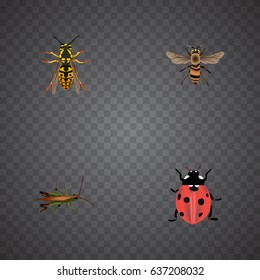 Realistic Bee, Locust, Ladybird And Other Vector Elements. Set Of Animal Realistic Symbols Also Includes Wasp, Wisp, Grasshopper Objects.