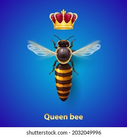 Realistic Bee Queen Mother with Golden Crown. Detailed Illustration of a Queen Bee on Blue. Insect Symbol for Natural, Healthy and Organic Food Production