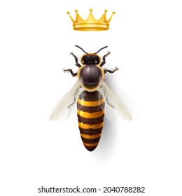 Realistic Bee Queen Mother with Golden Crown. Detailed Illustration of a Queen Bee on White. Macro Insect, Concept of Food Industry