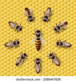 Realistic Bee Queen Mother on a Honeycomb and Bee Workers Around Her - Life of Bee Colony Simple Icon. Macro Insect, Concept of Food Industry, or Beekeeping