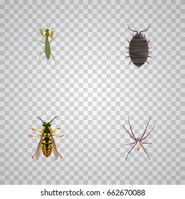 Realistic Bee, Spider, Grasshopper And Other Vector Elements. Set Of Insect Realistic Symbols Also Includes Beetle, Dor, Locust Objects.