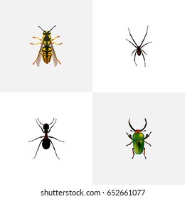 Realistic Bee, Spinner, Insect And Other Vector Elements. Set Of Insect Realistic Symbols Also Includes Spider, Sting, Green Objects.
