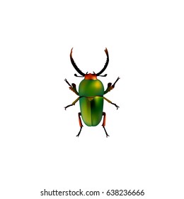 Realistic Beetle Element. Vector Illustration Of Realistic Insect Isolated On Clean Background. Can Be Used As Green, Beetle And Insect Symbols.