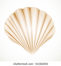 Realistic beige gabled seashell isolated on white background
