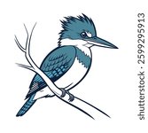 Realistic Belted Kingfisher Bird Illustration. Concept of Bird Design.