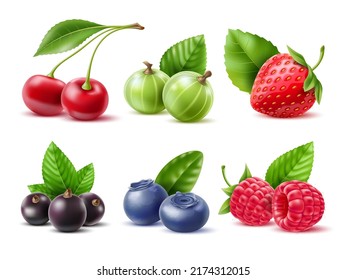 Realistic berries. Different seasonal berries and fruits with leaves, natural dessert, jam or juice. Fresh raspberry, blueberries and raw strawberry, 3d cherry and currant, utter vector set